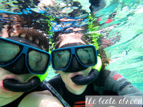 The Beals Abroad Snorkelling in Moorea
